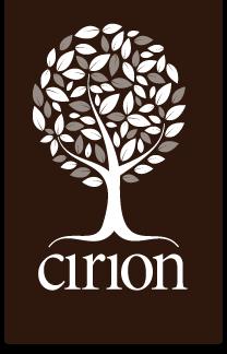 1. De opdracht Opdrachtgever De opdrachtgever is Cirion Foundation, in de persoon van Eric van Gorp, viroloog en infectioloog in het Erasmus MC en initiatiefnemer van de Cirion Foundation.