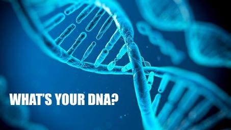 What s Your DNA? Iedere horecazaak heeft zijn eigen DNA. Dat karakteristieke, unieke waar jouw horecazaak voor staat. Het is zelfs zo belangrijk dat het goed is om dit DNA te beschrijven.