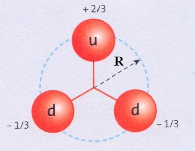 10-24 g) Leeftijd = PROTON NEUTRON Q n = u (+2/3) + d (-1/3) + d (-1/3) = 0 Het neutron draagt geen elektrische