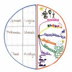 De linker en de rechter hersenhelft Het bovenste deel van onze hersenen, de grote hersenen, bestaat uit twee delen, die als één geheel samenwerken.