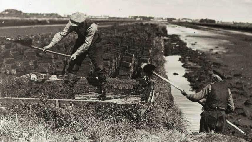 Turfwinning in den natte Bron: It Damshûs, Nij Beets Ruim duizend jaar geleden is een begin gemaakt met de ontginning van de uitgestrekte veenkussens vanaf de randen.