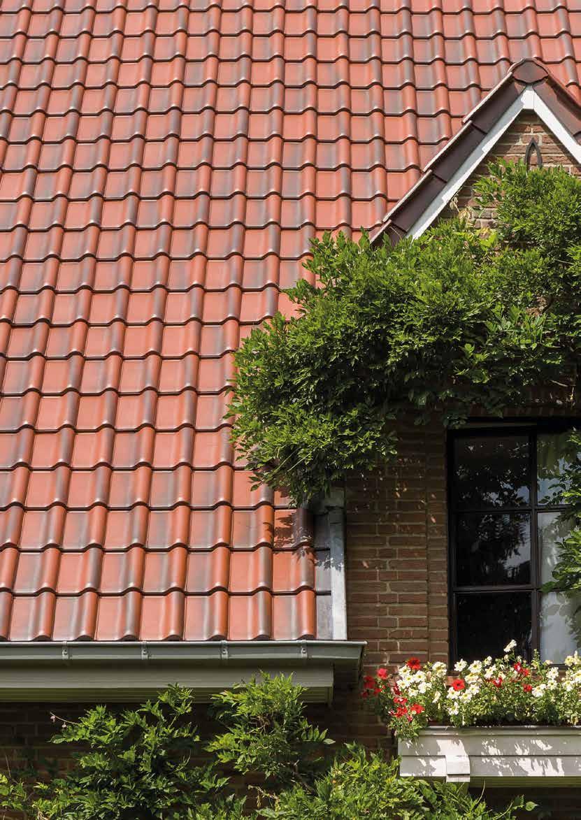 gloednieuwe dakbedekking kan een rustieke uitstraling bewaren.