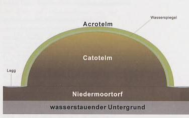 (drainage, waterwinning) Vermesting (stikstofdepositie) Verzuring