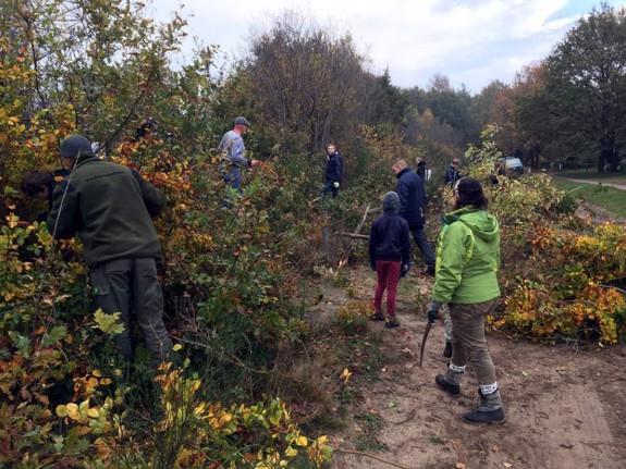 19 Junior Rangers Dwingelderveld De Junior Rangers van Nationaal Park Dwingelderveld