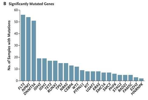 Moleculair landschap in AML 200 patiënten met AML WGS/ WES 1623 genen met een mutatie 260 genen met tenminste 2 mutatie Slechts in 3 stalen geen mutatie 4-5 afwijkingen per patiënt 23 genen die het