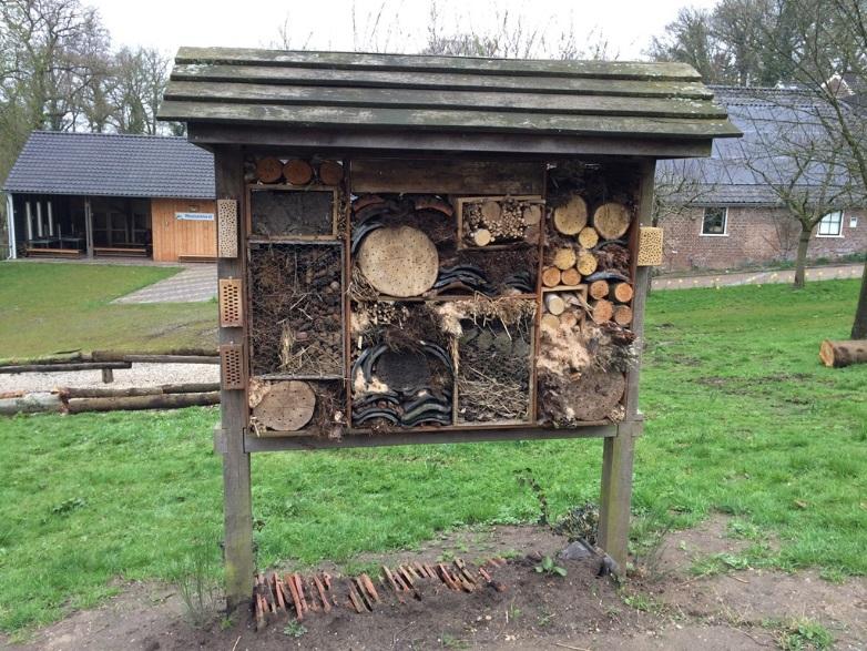Belangrijke aandachtspunten voor bijenhotels zijn: De openingen van de gaten in het hout dienen op het zuiden (sterke