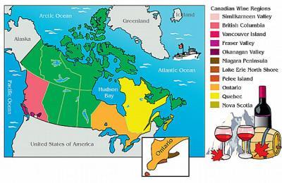Canada 12.150 ha, 548 wineries 530.000 hl Extra wijn-import: 3.284.000 hl Export: 111.