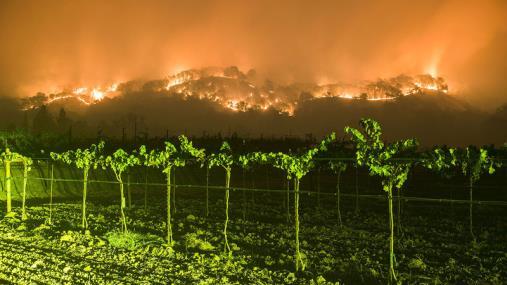 Casus October 2017 fires California Casus October 2017 fires California Afgelopen jaar is voor de wereldwijde wijnbouw geen 'regular' jaar geweest.