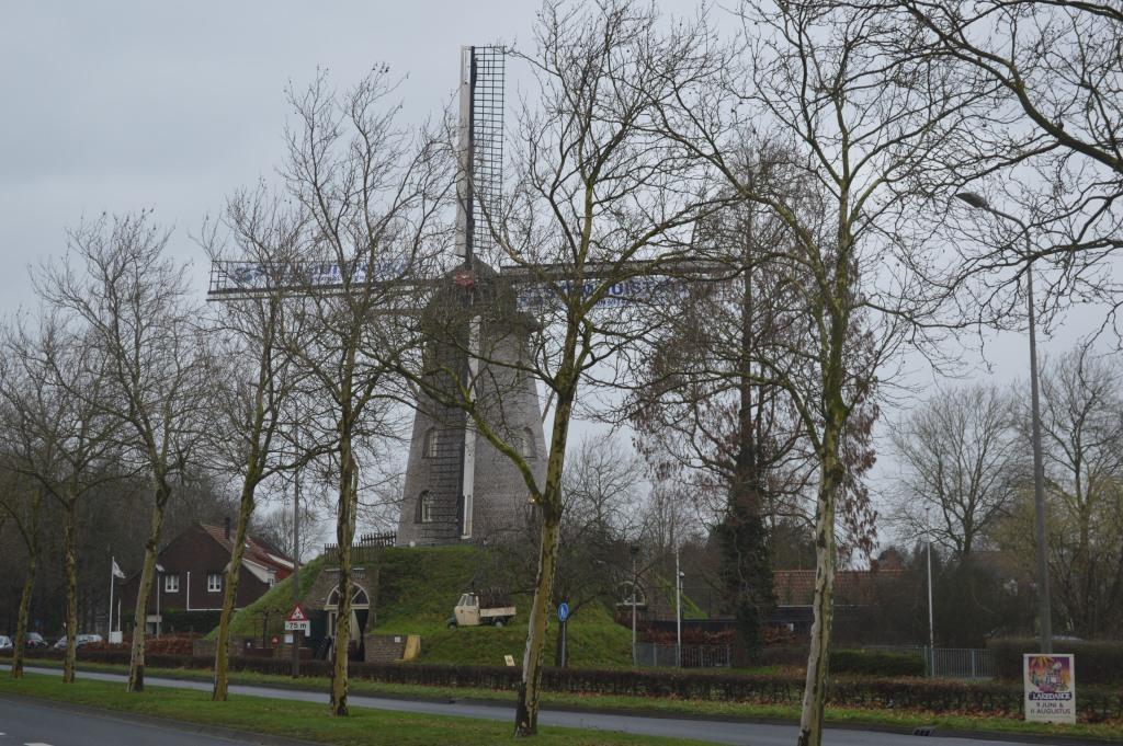 Het is duidelijk dat het groen niet op de molen is afgestemd en de molen op termijn behoorlijk ingegroeid dreigt te raken Op dit moment domineert de molen nog zijn omgeving en vormt het een