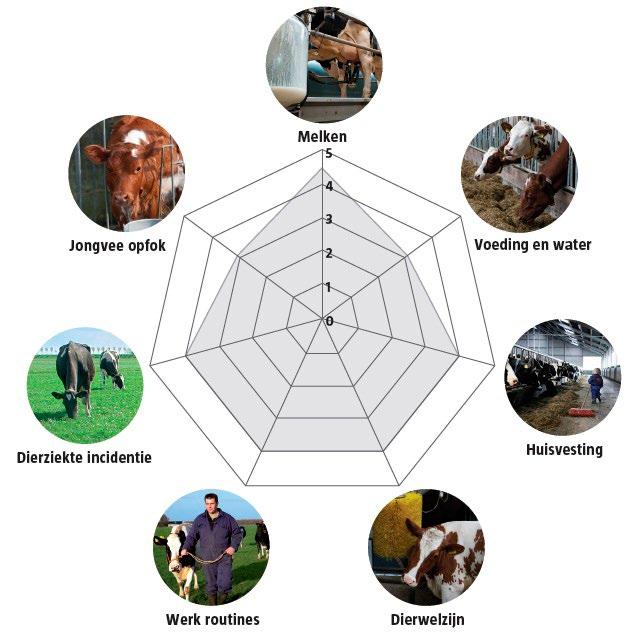Continu verbeteren dierenwelzijn (vervolg) Verder is de ontwikkeling van de KalfOK-score gestart, een instrument om melkveehouders