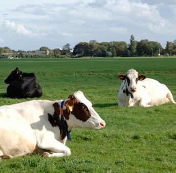 Continu verbeteren dierenwelzijn; uiterlijk in 2017 is een monitoringssystematiek ontwikkeld en wordt een doel vastgelegd.