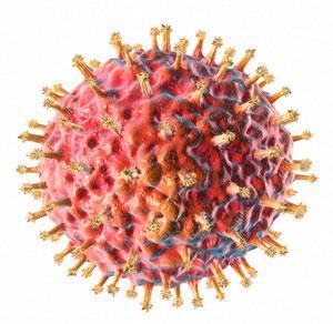 1 VIROLOGIE & VIRUSZIEKTEN BIJ PLANTEN Virale ziekteverwekkers - algemeen Obligaat parasieten (gastheer