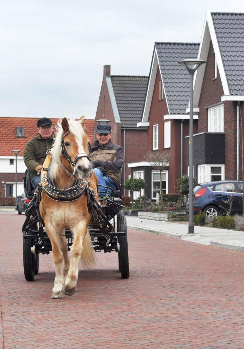 Een ruime wijk in een groene omgeving Het parkachtige Zuidbroek is een ruim opgezette woonwijk aan de zuidkant