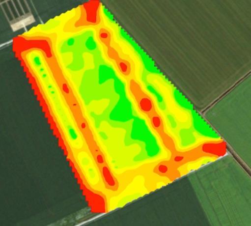 Wintertarwe YEN project Opbrengst variatie: