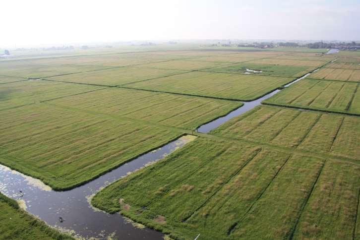 Rubriek: Beleving Project: 2.2 Uitkijktoren Naast de unieke natuurwaarden van de polder is ook de cultuurhistorische waarde van de Hempensermeerpolder van grote betekenis.