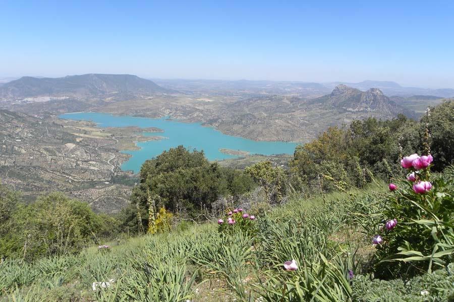 Sierra de Grazalema Het groenste en natste gebied van Andalusië is het park Sierra de Grazalema, waar door overvloedige regenval rivierdalen met witte dorpen worden afgewisseld door ruige bergen vol
