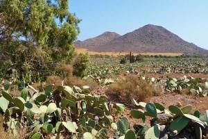 Programma Dag 1 tot 3: (Amsterdam) - Málaga - Agua Amarga (Cabo de Gata) 270 km 3 overnachtingen in Cabo de Gata U vliegt van Amsterdam naar Málaga.