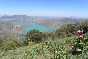 Dag 7 tot 9: Pitres (Alpujarras) - Cartajima (Serrania de Ronda) 250 km 3 overnachtingen in Serrania de Ronda Vandaag reist u verder naar de Serrania de Ronda, waar u de komende dagen verblijft.