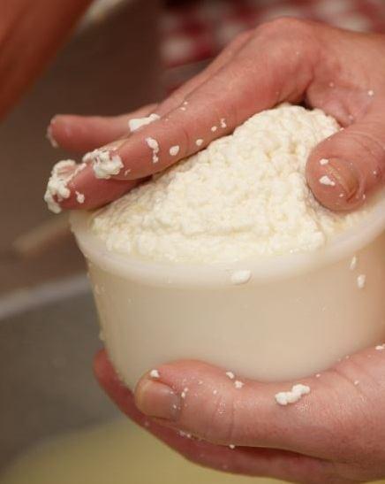 Deze korrels werden door de leerlingen vervolgens in een bakje gedaan. Op dat bakje kwam een plat deksel met gaatjes, waardoor je nog een gedeelte van het overtollige water eruit kon persen.