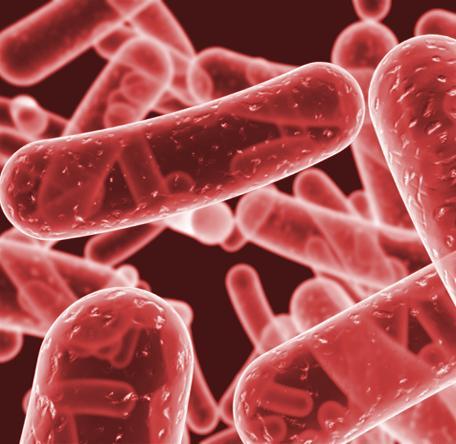 Methicilline Resistente Staphylococcus aureus