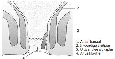 Kloofje bij de anus Inleiding Deze folder geeft u informatie over een kloofje bij de anus en de behandelingsmogelijkheden.
