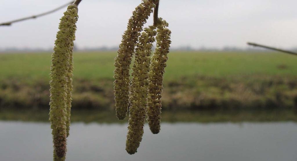 Verhalen van Capelse natuurspotters.