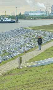 Zeldzame slikken en schorren vormen een uitgelezen broedplaats voor talrijke beschermde vogels. Noordkasteel Antwerpen ntwerpse eldekaaien Nete en Kleine Nete Zandhoven www.sigmaplan.