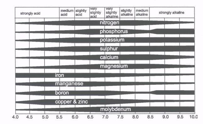 Bodem Calcium, ph en structuur Een goede ph (zuurgraad) van de grond is voor een goede groei van planten belangrijk. De ph is mede afhankelijk van het organische stofgehalte van de grond.