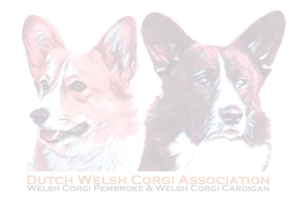 Statuten Artikel 1 Naam, vestigingsplaats en duur 1. De vereniging draagt de naam: Dutch Welsh Corgi Association.