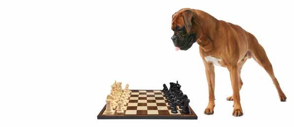 schaken wat is schaken Schaken is een doe sport maar dan met je hoofd. bij Tornado? Schaken is niet saai. Schaken is een sport voor jong (meisjes en jongens) en oud. Je kunt ook tegen elkaar spelen.