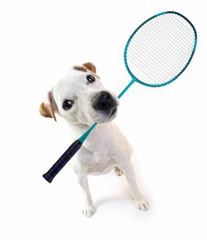 badminton wat is badminton Een snelle sport met een licht racket en een BC Druten? shuttle dat in een sporthal wordt gespeeld. Je speelt een wedstrijd met twee of vier spelers.