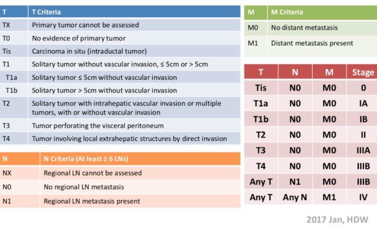 Diagnostiek Staging: Tripple phase MDCT thorax abdomen (NCCN & ESMO guidelines) MRI (beter voor kleine levermeta