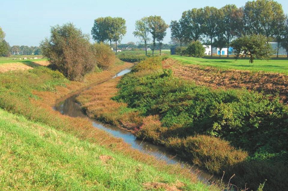 Er kunnen toch een reeks van maatregelen getroffen worden aan de bron: - recuperatie van het regenwater in regenwatertanks - insijpeling en verdamping meer kans geven door bebouwde oppervlakten te