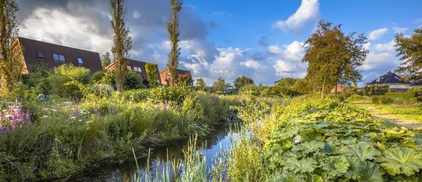 Keer het proces om Gebouw te gast in het landschap