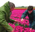 Visie en kennisagenda In het rapport 'Duurzaam bodembeheer in de Nederlandse landbouw' is een visie op duurzaam bodembeheer beschreven.