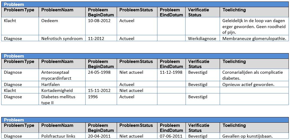 1.9 Instructions Voor het verpleegkundige domein geldt: wanneer twee partijen verschillende classificatiesystemen hanteren, wordt voor uitwisseling de op Snomed CT gebaseerde Kernset Patiëntproblemen