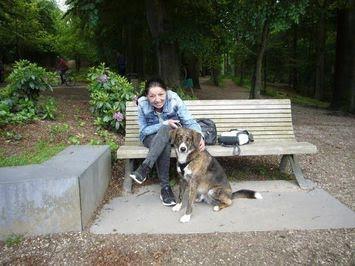 Pagina 9 SUCCES VERHALEN Harley (RSDR Sabu) ik was meteen verliefd! In 2013 wilde ik graag weer een hond en ben ik eerst gaan kijken in de asielen in Nederland.