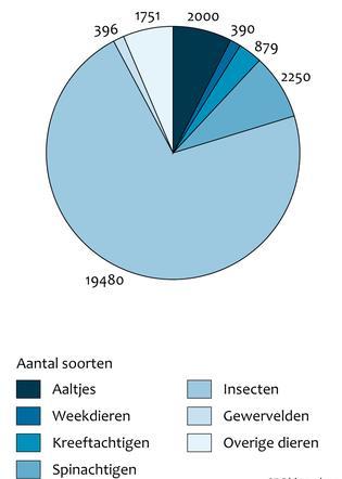 gebaseerd op het rapport Wat natuur de mens biedt, Ecosysteemdiensten in Nederland (Planbureau voor de Leefomgeving, 2010).