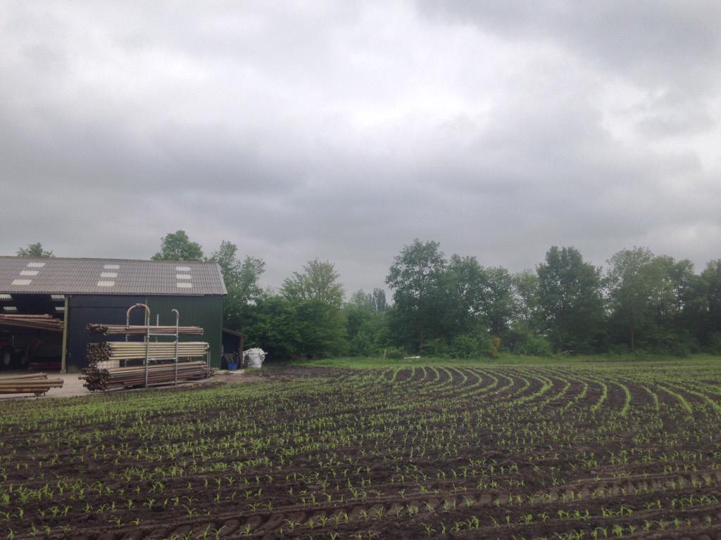 Voor de wijziging in bestemming van het perceel geldt een verplichte landschapsinvestering bovenop het