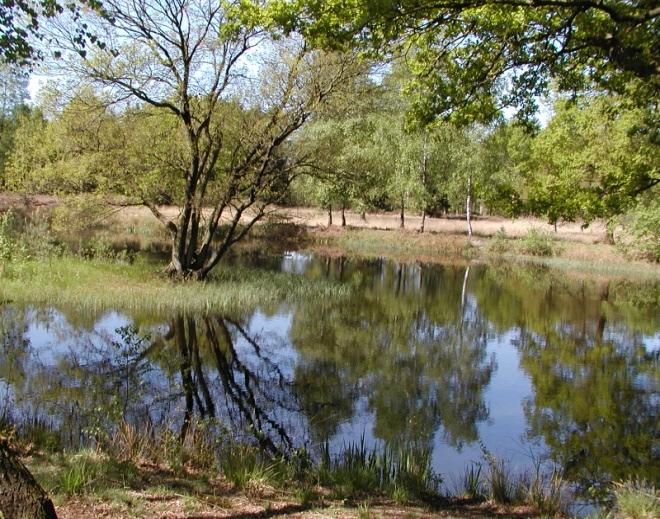 Zweckverband D-NL Naturpark MSN, Geschäftsstelle in