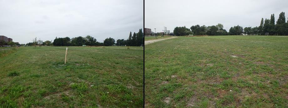 Aan de oostzijde van het perceel bevindt zich een sloot van circa 5 meter breed (Figuur 5.1 rechts). Binnen deze deellocatie bevinden zich geen bomen of gebouwen. Figuur 5.1. Impressie deellocatie Overvecht.