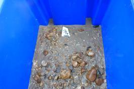 In Box 4 zijn weinig stenen gevonden: in Station 9 slechts één very small boulder (64-128 mm) en in