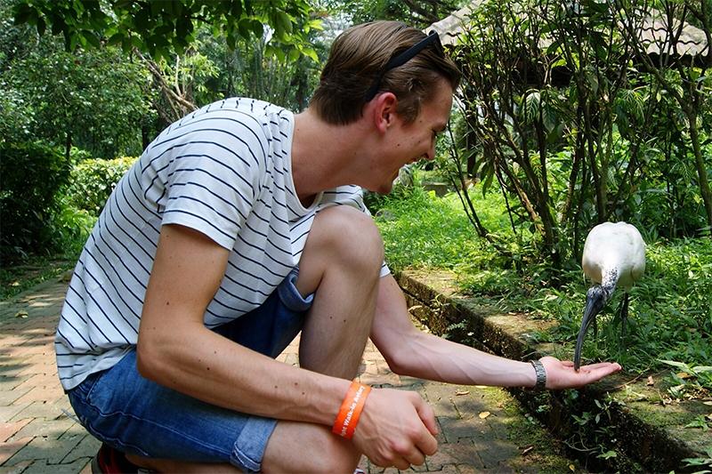 Dag 4: Kuala Lumpur / Excursies KL Bird Park & Vuurvliegjes 's Morgens breng je een bezoek het vogelpark (KL Bird Park). Vogelliefhebbers kunnen hier hun hart ophalen.