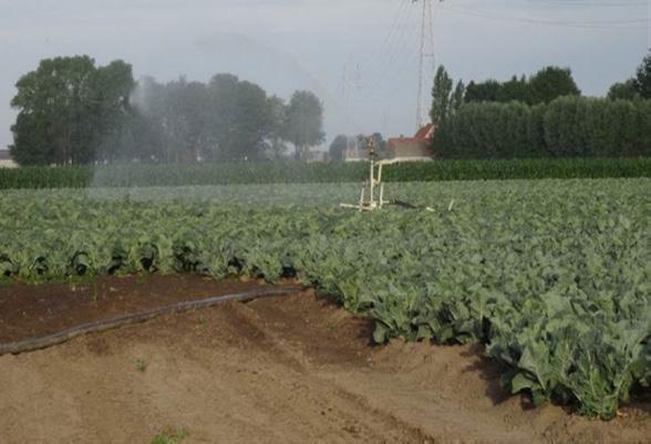 Acties droogte-overleg Acties Middellange Termijn Droogte-gerelateerd onderzoek (ILVO, PC, ) Preventie Droogtetolerante rassen / gewassen Bodem (OS, ) Alternatieve (drink)waterbronnen Water