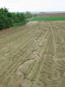 EROSIEBESTRIJDING IN RANDVOORWAARDEN Ruggenteelten (aardappelen, chicorei, witloof, wortelen) Zeer hoog erosiegevoelige velden Hoog erosiegevoelige velden 2014 Max 2 maanden onbedekt voorafgaand aan