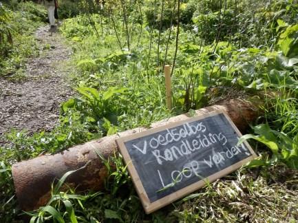 Ziektevrij versus microbiologisch gebufferd Toenemende biodiversiteit Steriel micro-organismen Toenemende complexiteit van