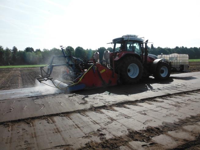 VIF-folie (foto 11). Foto 10. Inwerken gras Foto 11. Afdekken van de grond met VIF-folie.