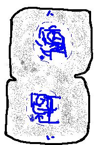 2 Meiose of reductiedeling of halveringsdeling Meiose is een speciale vorm van kerndeling die nodig is voor de geslachtelijke voortplanting van organismen.