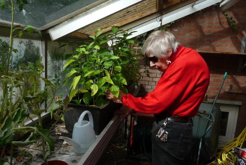 Kernwaarden Vanuit de missie en visie heeft HilverZorg een drietal waarden geformuleerd van waaruit de zorg en dienstverlening wordt georganiseerd.