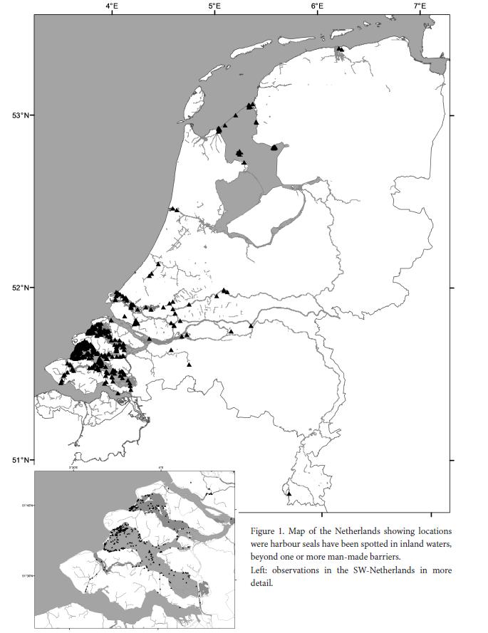 Figuur 7-2 Kaart van Nederland met locaties waar gewone zeehonden zijn waargenomen
